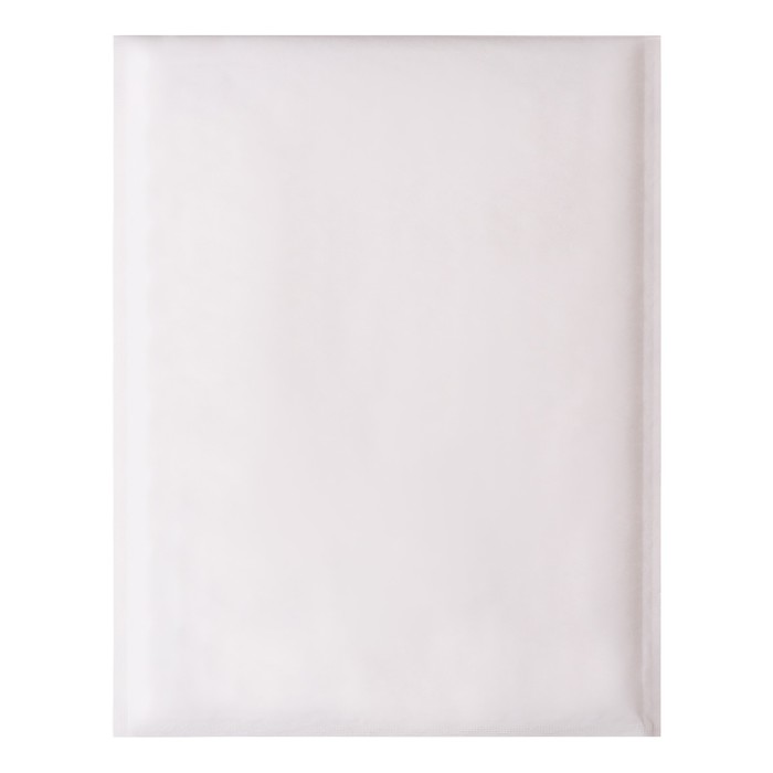 Набор крафт-конвертов с воздушно-пузырьковой плёнкой Mail lite G/4, 24 х 33 см, 5 штук, white
