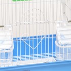 Клетка для птиц укомплектованная Bd-1/1d, 30 х 23 х 39 см, голубая - Фото 3
