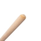 Лопата пластиковая, ковш 480 × 360 мм, с оцинкованной планкой, деревянный черенок, «Циклон» - фото 8739669