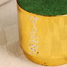 Флористическое кашпо "Марен" золото, 10х10х8,5см - Фото 5