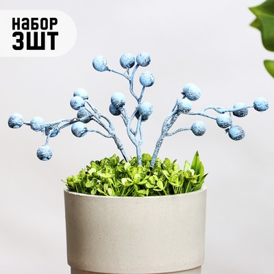 Набор декоративных штекеров «Ягодки», 20×4×4 см, 3 шт., синий