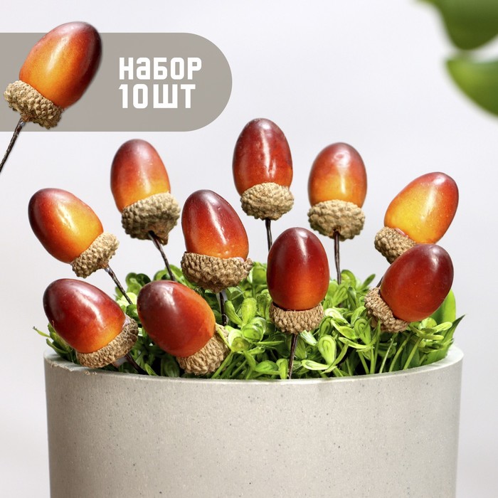 Топпер для творчества TAKE IT EASY «Желудь», набор 10 шт., в цветы, в кашпо, 3×2 см - Фото 1