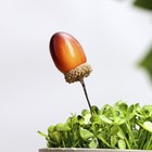 Топпер для творчества TAKE IT EASY «Желудь», набор 10 шт., в цветы, в кашпо, 3×2 см - Фото 2