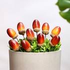 Топпер для творчества TAKE IT EASY «Желудь», набор 10 шт., в цветы, в кашпо, 3×2 см - Фото 3