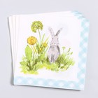 Салфетки бумажные «Серый кролик», 33х33 см, набор 20 шт - фото 301352795