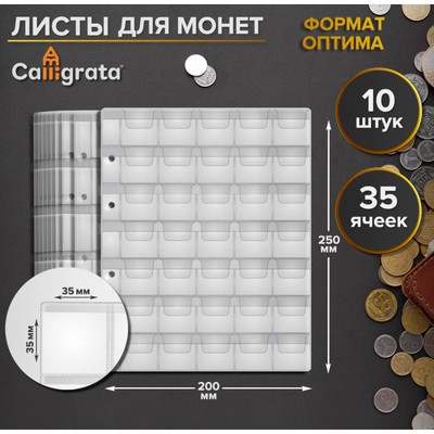 Купить лист для монет Оптима х на 12 ячеек 60х60мм в интернет-магазине