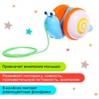 Каталка на верёвочке «Улиточка», световые эффекты, цвета МИКС - Фото 4