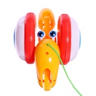 Каталка на верёвочке «Улиточка», световые эффекты, цвета МИКС - Фото 9