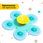 Спиннер для ванной на присоске «Акулёнок», на присоске - Фото 5