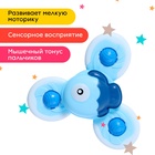 Спиннер для ванной «Рыбка», на присоске - Фото 4