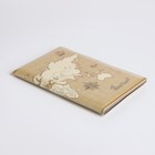 Обложка для паспорта, цвет бежевый (комплект 2 шт) - фото 23608753