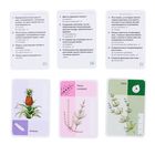 Настольная игра-викторина "Твой кругозор: Царство растений" - Фото 3