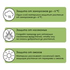 Материал укрывной, 5 × 3,2 м, плотность 80 г/м², спанбонд с УФ-стабилизатором, белый, Greengo, Эконом 30% - Фото 5