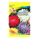 Семена цветов Астра однолетняя "Американская красавица", 0,2 г - Фото 1
