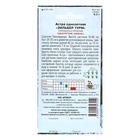 Семена цветов Астра однолетняя "Зильбер Турм", 0,2 г 1029114 - Фото 2