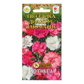 Семена Цветов Гвоздика  "Диантус Плюмарис", 0 ,1 г   1029118