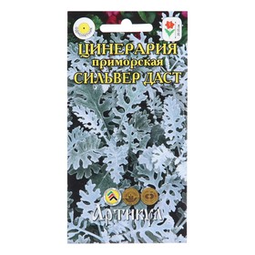 Семена Цветов Цинерария "Сильвер Даст", 0 ,05 г 10291262