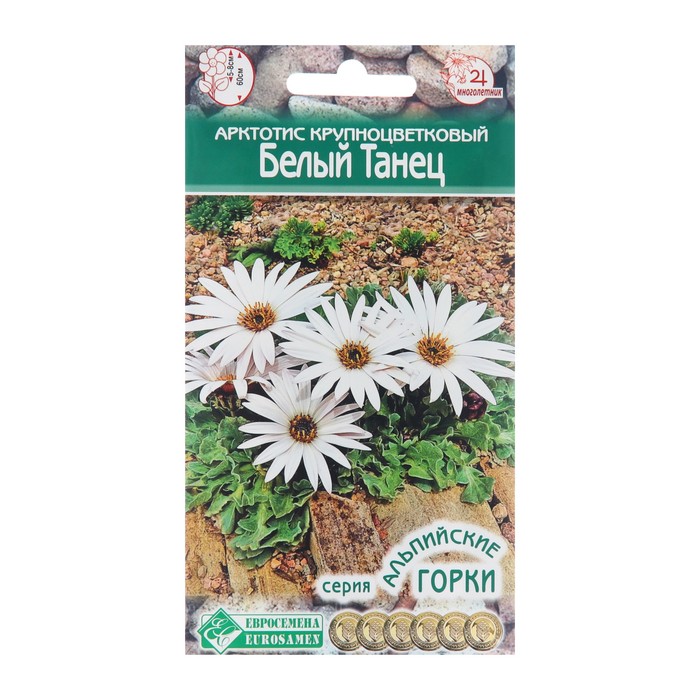 Семена цветов арктотис крупноцветковый «Белый Танец», многолетник, для альпийских горок, 10 шт. - Фото 1