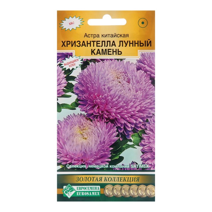 Семена цветов астра китайская «Хризантелла Лунный Камень», однолетник,5 шт. - Фото 1