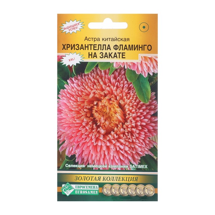 Семена цветов Астра китайская Хризантелла Фламинго на Закате, 5 шт