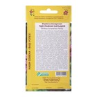 Семена цветов Семена цветов Вербена бонарская «Тщеславная Барышня», однолетник, 5 шт. - Фото 2