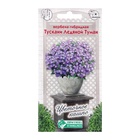 Семена цветов Дельфиниум Королевский «Туманная лаванда», 10 шт. - фото 68131576