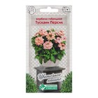 Семена цветов Вербена гибридная "Тускани Персик", 8 шт - Фото 1