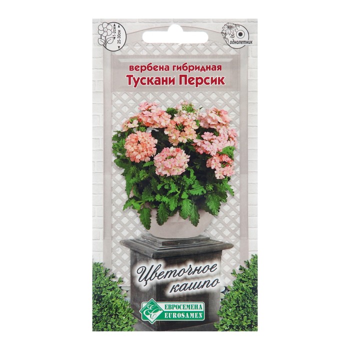 Семена цветов Вербена гибридная "Тускани Персик", 8 шт - Фото 1