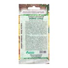 Семена цветов Гелиопсис шероховатый "Знойное Солнце", 0,2 г - фото 24534848