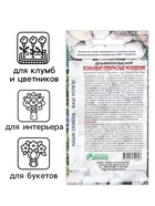 Семена цветов Дельфиниум садовый "Бенари Пасифик Верблюд", 10 шт 10292666 - фото 2863979