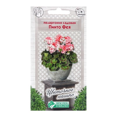 Семена пеларгония садовая «Пинто Фея», 3 шт.