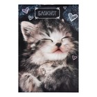 Набор блокнотов А6, 24 листа в клетку на скрепке "Котята", обложка мелованный картон, блок офсет, 4 штуки - фото 24630443