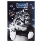 Набор блокнотов А6, 24 листа в клетку на скрепке "Котята", обложка мелованный картон, блок офсет, 4 штуки - фото 24630444