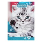 Набор блокнотов А6, 24 листа в клетку на скрепке "Котята", обложка мелованный картон, блок офсет, 4 штуки - фото 24630446