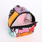 Рюкзак школьный из текстиля на молнии, 4 кармана, кошелёк, цвет разноцветный - фото 11133319