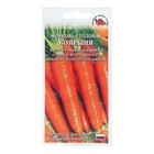 Семена Морковь "Боярыня", среднеспелая, 0,5 г - фото 9332115