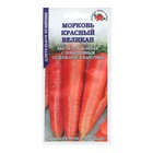 Семена Морковь "Красный великан", среднеспелая, 1,5 г - Фото 1
