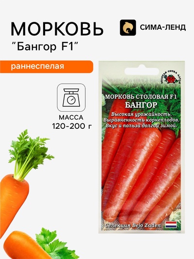 Семена Морковь столовая «Бангор», F1, раннеспелая, 0.2 г, «Золотая сотка Алтая» селекция Bejo Zaden
