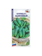 Семена Огурец "Балконный F1", партенокарпический, 0,15 г - Фото 5