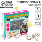 Головоломка металлическая «Бася» - Фото 1