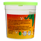 Растущие игрушки «Эпоха динозавров» - фото 23651549