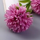 Цветы искусственные "Хризантема помпон" d-6 см 80 см, сиреневый - Фото 2