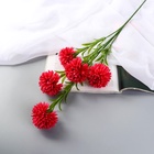 Цветы искусственные «Хризантема помпон», h=80 см, d=6 см, малиновые - Фото 2