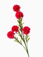 Цветы искусственные «Хризантема помпон», h=80 см, d=6 см, малиновые - Фото 5