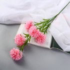 Цветы искусственные "Хризантема помпон" d-6 см 80 см, розовый - фото 8800803