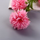 Цветы искусственные "Хризантема помпон" d-6 см 80 см, розовый - фото 8800804