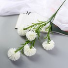 Цветы искусственные "Хризантема помпон" d-6 см 80 см, белый - фото 320995087