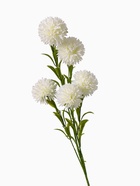 Цветы искусственные «Хризантема помпон», h=80 см, d=6 см, белые - Фото 5
