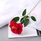 Цветы искусственные "Роза Претти" d-10 см 55 см, малиновый - фото 3160508