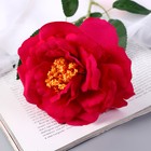Цветы искусственные "Роза Претти" d-10 см 55 см, малиновый - фото 8800808